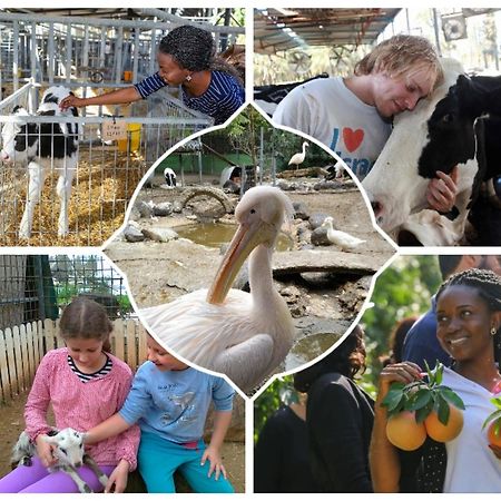 Shaar Hagolan Kibbutz Country Lodging ภายนอก รูปภาพ