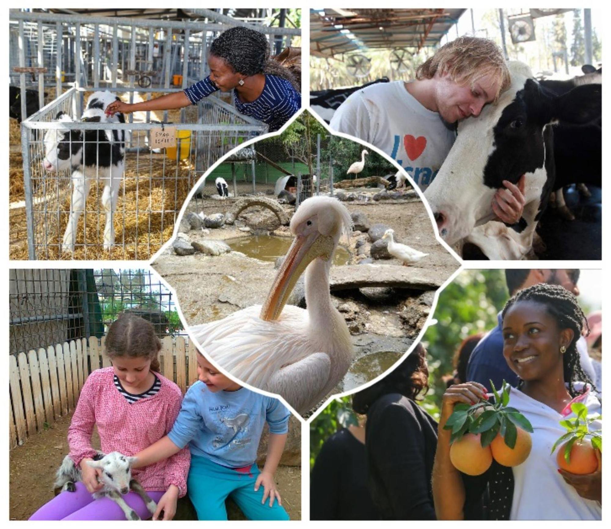 Shaar Hagolan Kibbutz Country Lodging ภายนอก รูปภาพ
