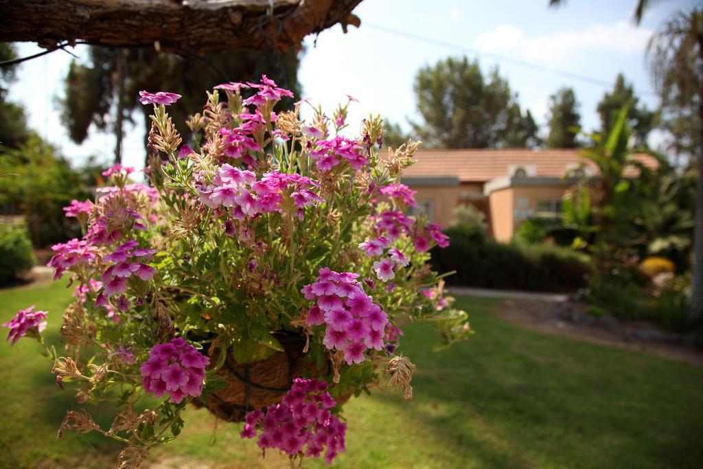Shaar Hagolan Kibbutz Country Lodging ภายนอก รูปภาพ