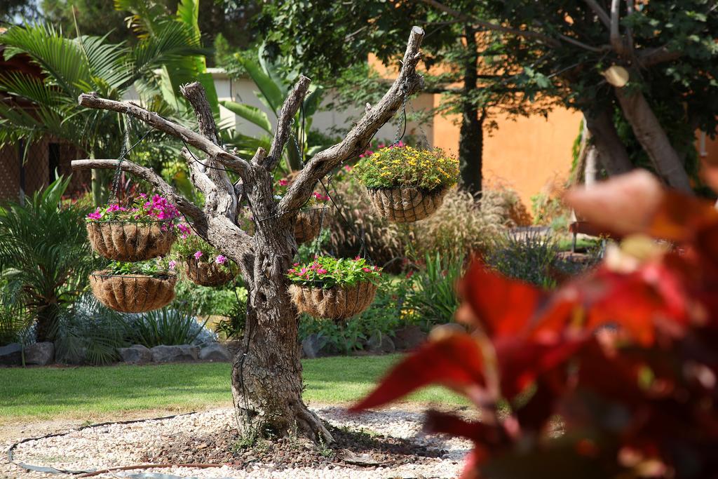 Shaar Hagolan Kibbutz Country Lodging ภายนอก รูปภาพ