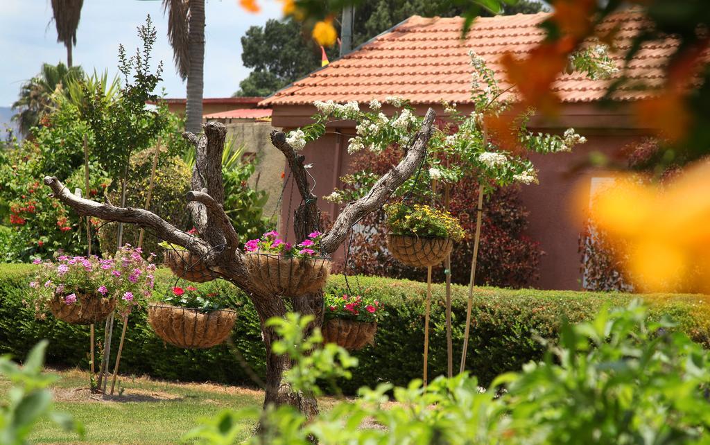 Shaar Hagolan Kibbutz Country Lodging ภายนอก รูปภาพ