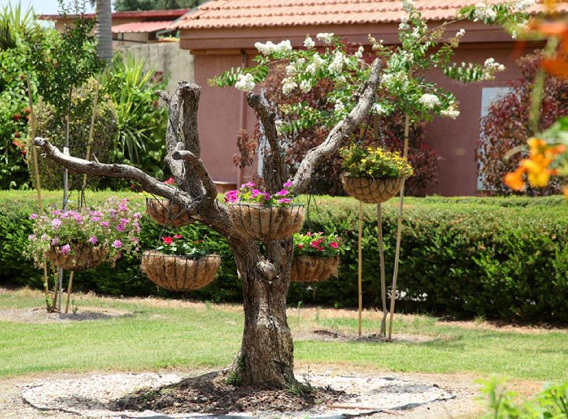Shaar Hagolan Kibbutz Country Lodging ภายนอก รูปภาพ